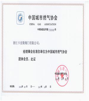 中國城市燃?xì)鈪f(xié)會.jpg